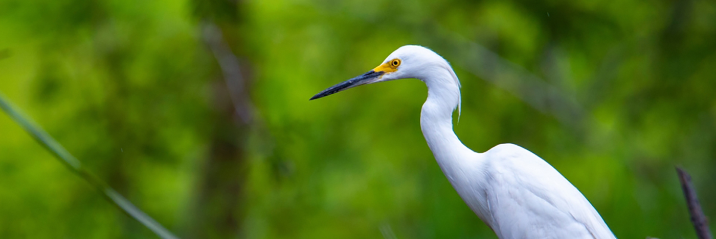 Guanacaste National Parks