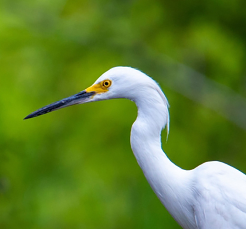 Guanacaste National Parks